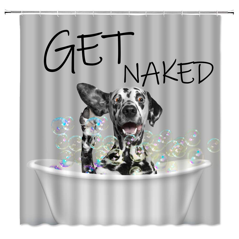 Funny Dalmatian Shower Curtain with Spots - Cute Get Naked Quote, Black & White Dog Design with Colorful Bubbles for Pet Lovers - Waterproof Bathroom Decor Fabric Curtain with Hooks - Perfect for Dog-Themed Bathrooms & Gift for Animal Lovers