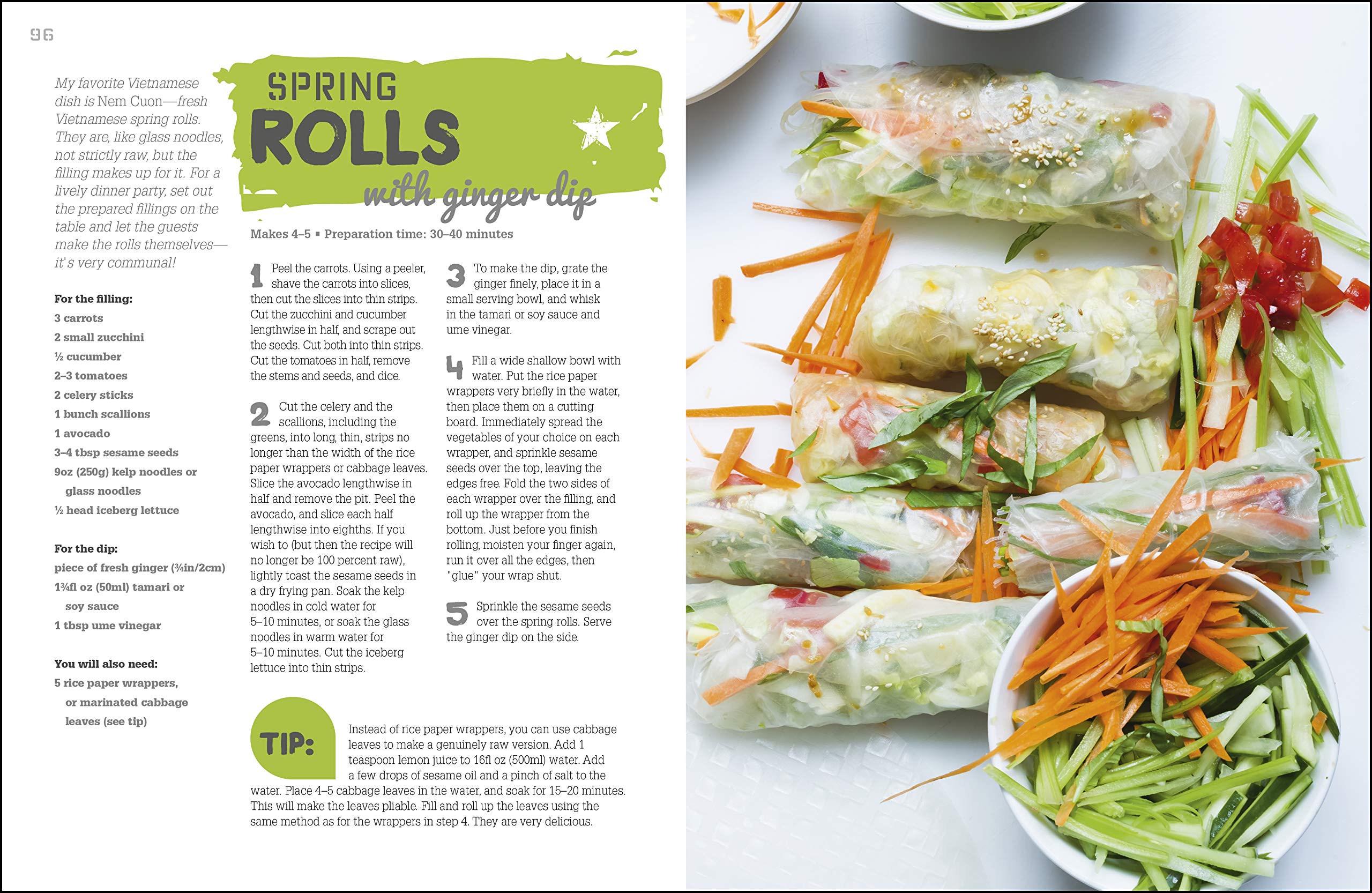 Fresh Vegan Raw Food - Quick & Easy Meals for Healthy Living