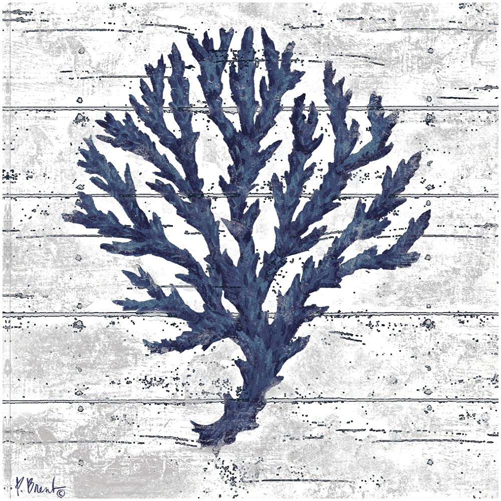 Paul Brent Fine Art Canvas Cape Coral III - White Canvas Wall Art for Home Decor | 32x32 Inch Ready to Hang Painting for Living Room, Bedroom, Office & More | Coastal Inspired Wall Decor for Beach House, Modern Interior & Gift Giving