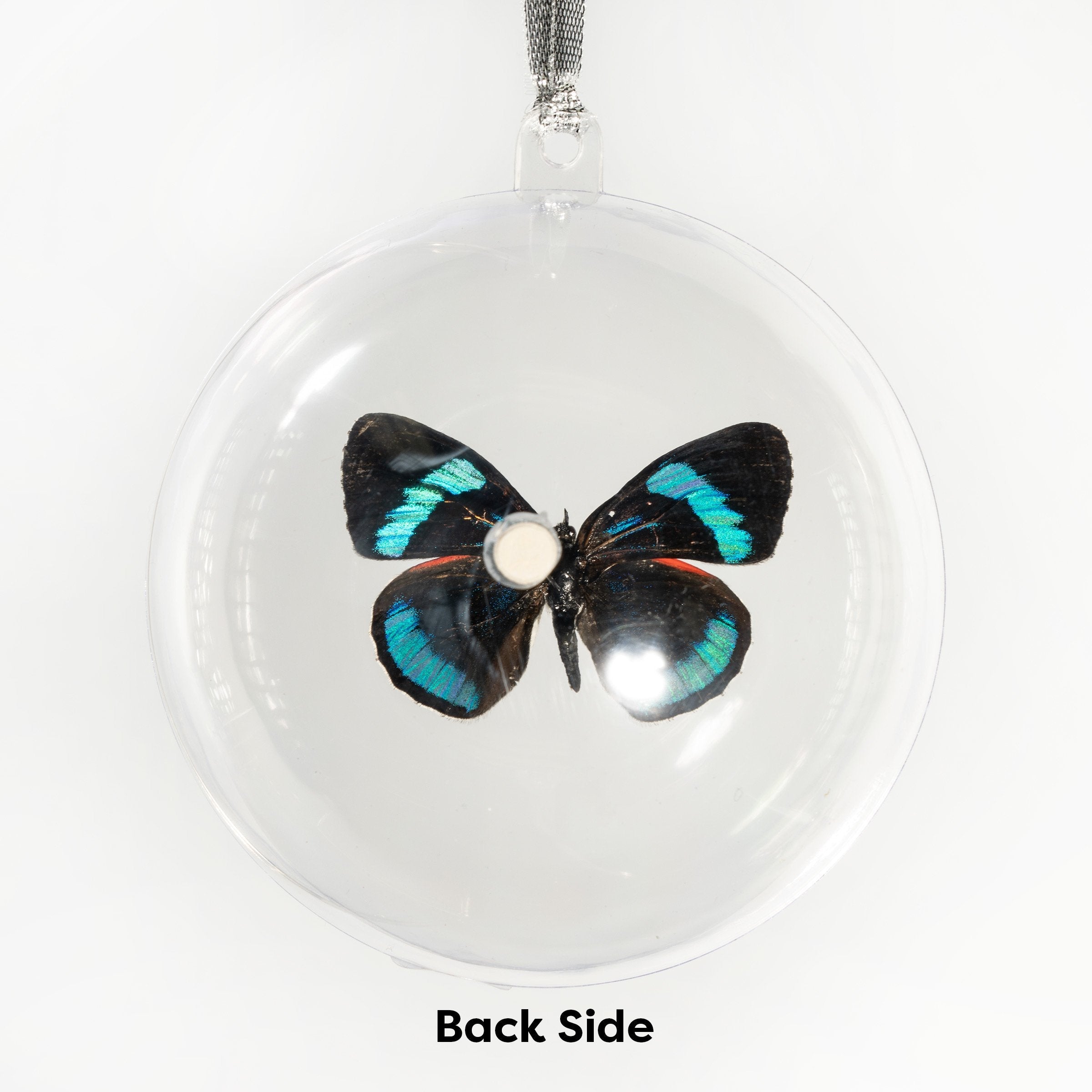 Real Pericloud Butterfly Globe Ornament - Elegant Glass Display with Handcrafted Butterflies for Home Decor, Wedding Centerpieces & Unique Gift Ideas