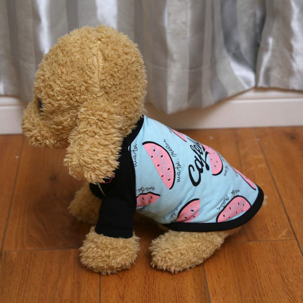 Pet Dog Shirt - Polar Puppy Coat & Cat Clothes Sweatshirt - Cute Animal Apparel for Small Medium Large Dogs & Cats - Perfect for Winter Walks, Photo Shoots & Indoor Comfort