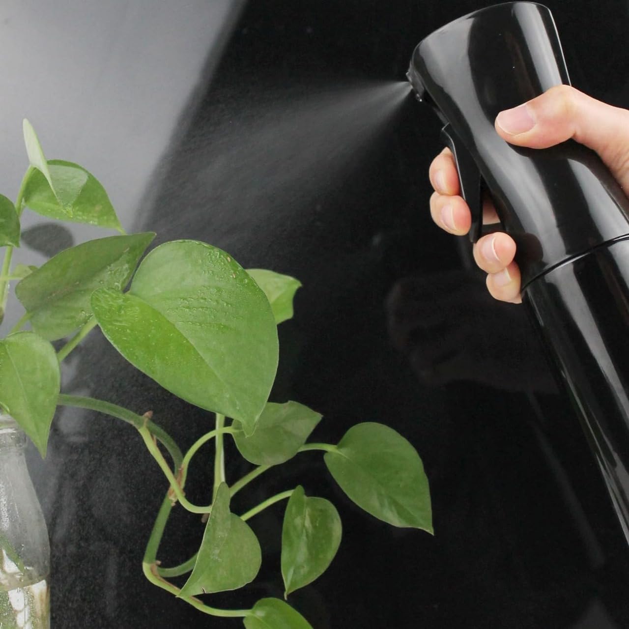 WHISKET 300ml Fine Mist Spray Bottle (2-Pack) - Hair Styling, Plant Watering & Pet Care - Perfect for Morning Hair Taming, Gardening & Grooming