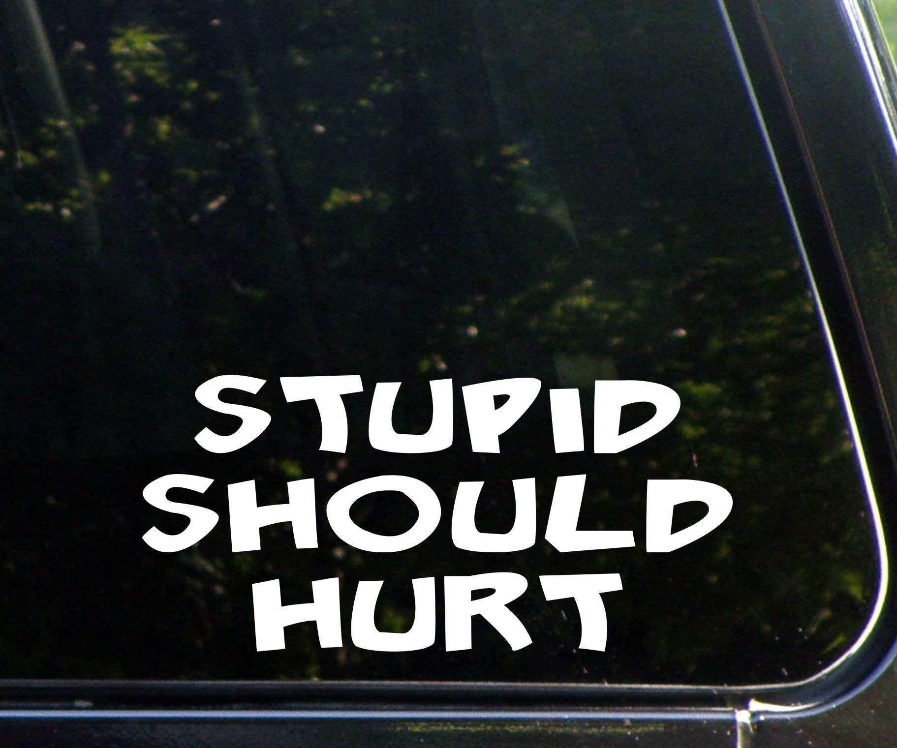 Stupid Should Hurt 8