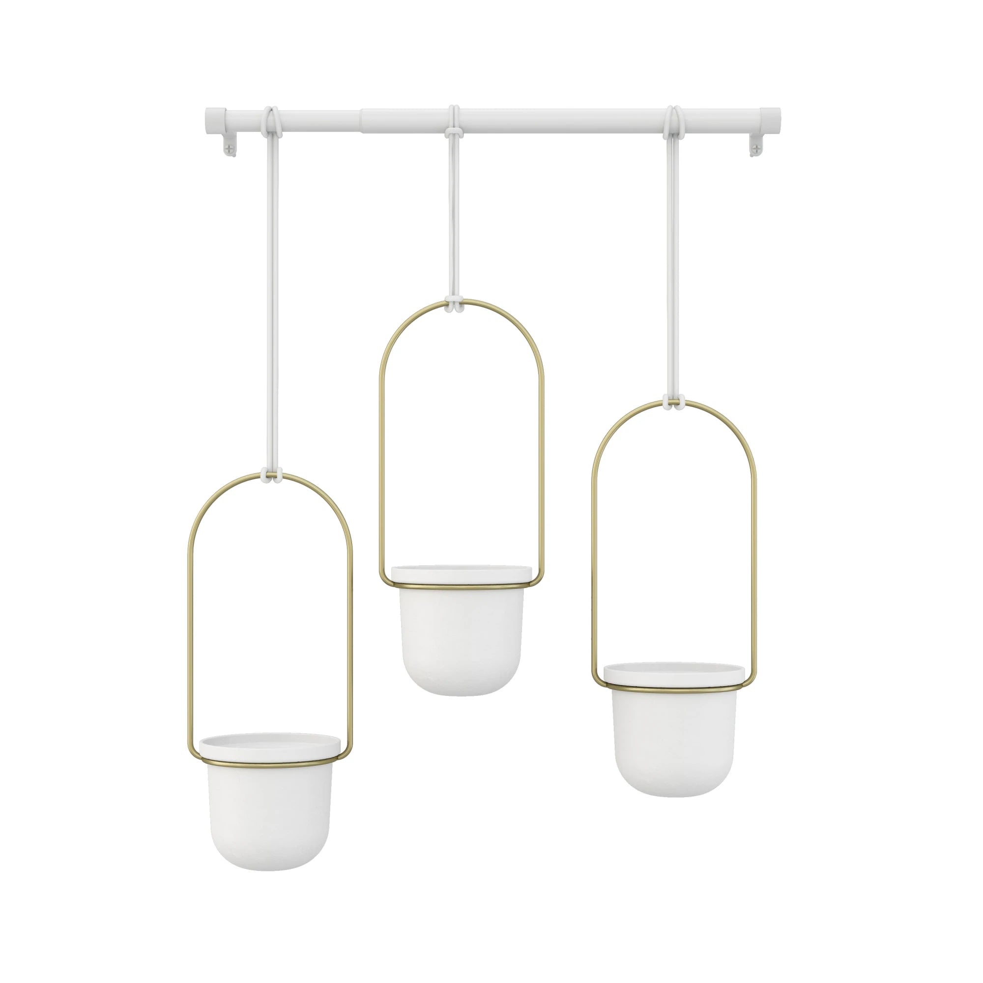 White/Brass