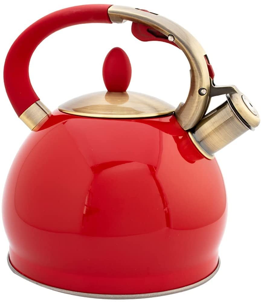 Premium Stainless Steel Whistling Tea Kettle for Gas & Induction Stovetops - Classic Cold Water Boiler with Loud Whistle - Perfect for Home, Kitchen, Camping & Tea Lovers