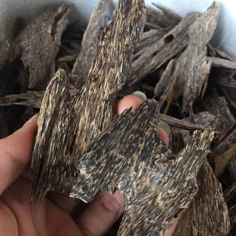 Premium AAA Grade Natural Agarwood Chips - Wild Vietnamese Oud Wood Incense (10g) | Luxury Aromatherapy, Meditation & Spiritual Ceremonies