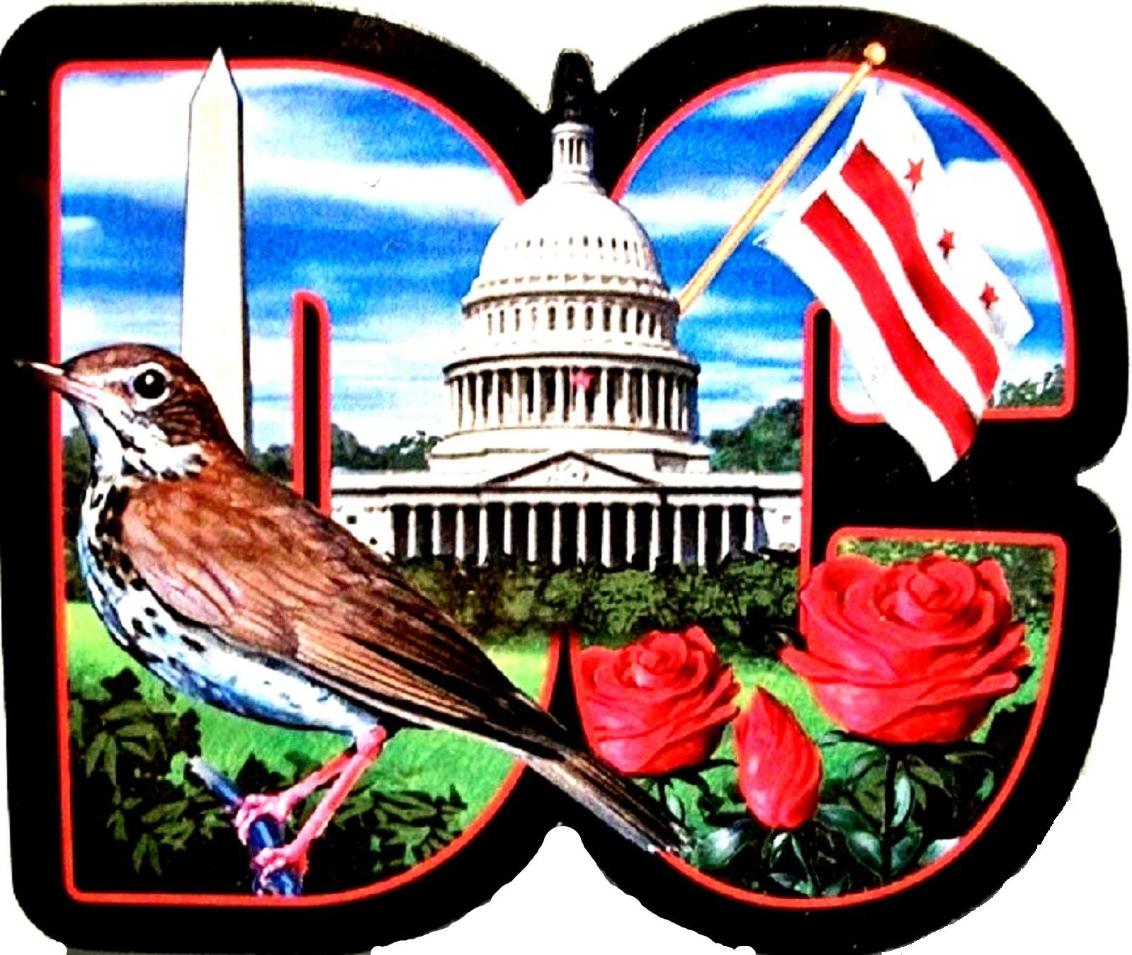 Washington D.C. USA Capitol Artwood Initial Fridge Magnet - Personalized Souvenir Gift for Travel Lovers, Office & Home Decoration