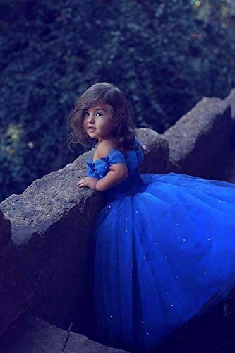 Cinderella Princess Ball Gown for Girls - Elegant Tulle Flower Girl Dress for Pageants, Weddings & Special Occasions | Perfect for Birthday Parties, Pageant Competitions & Fairy Tale Costume Events