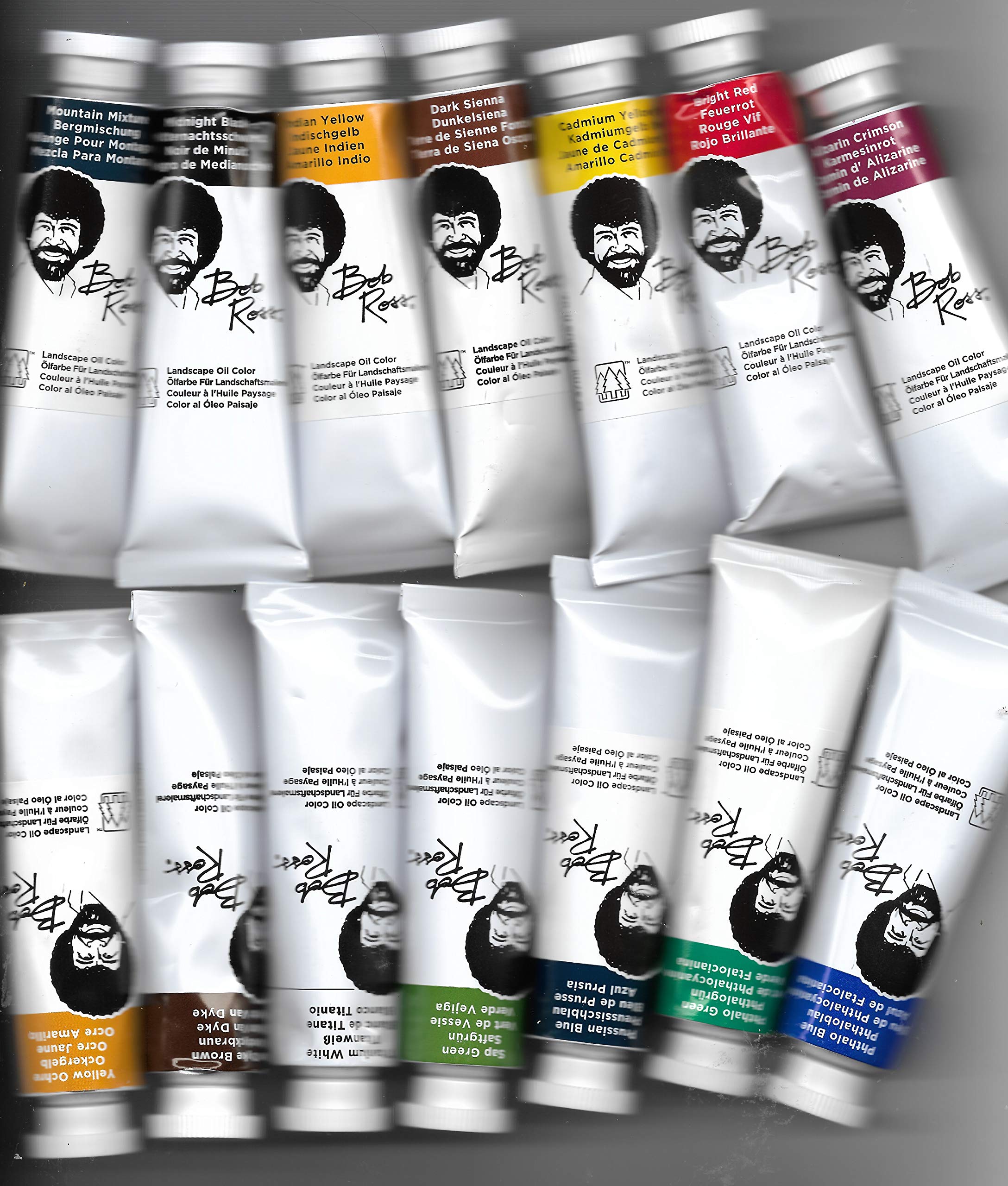 Bob Ross Landscape Oil Paint Set - 14x 37ml Tubes for Professional Artists | Perfect for Canvas Painting & Art Classes