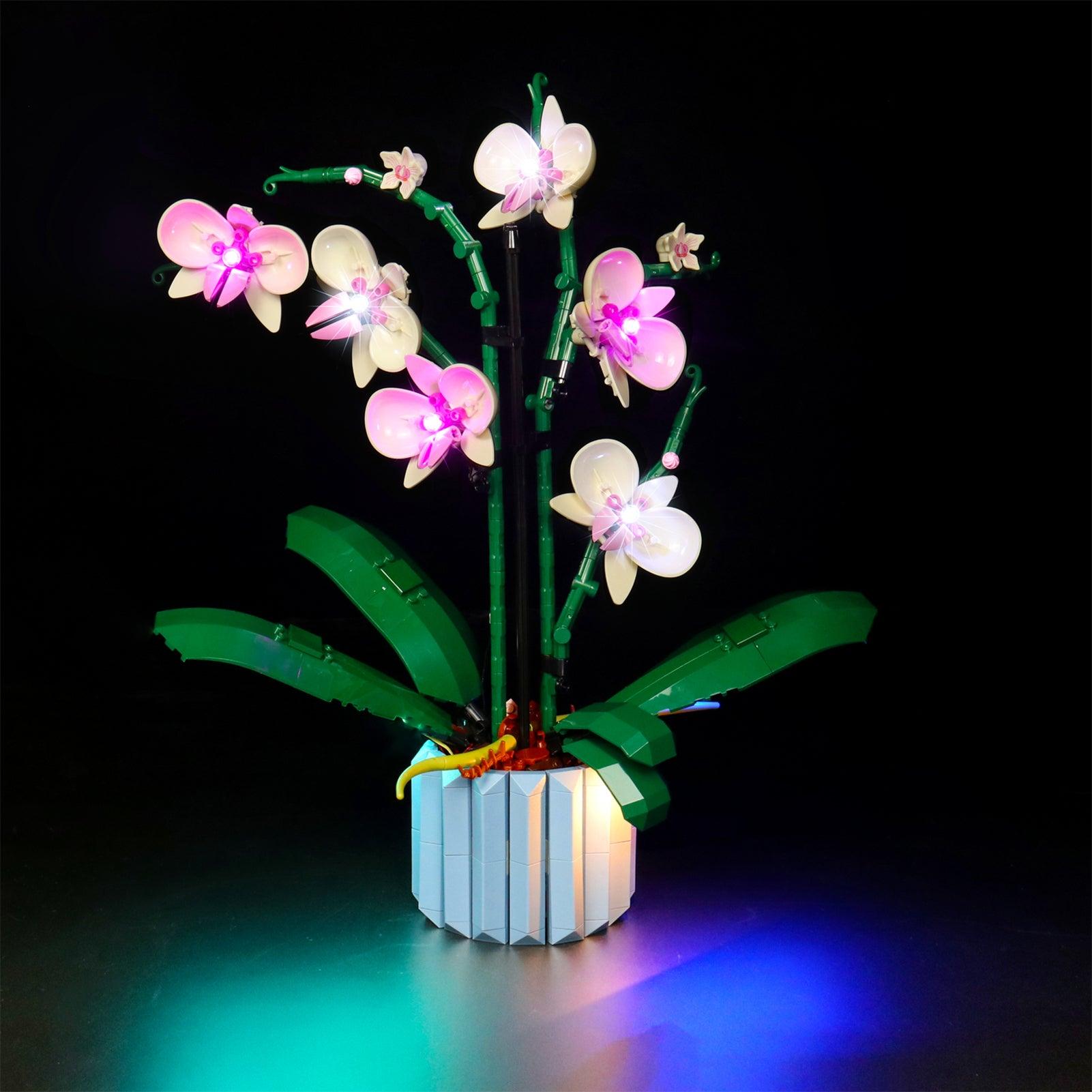 Premium LED Light Kit for Lego Ideas Orchid Plant Decor 10311 – Enhance Your Lego Flower Display with Realistic Lighting for Home & Office Decor
