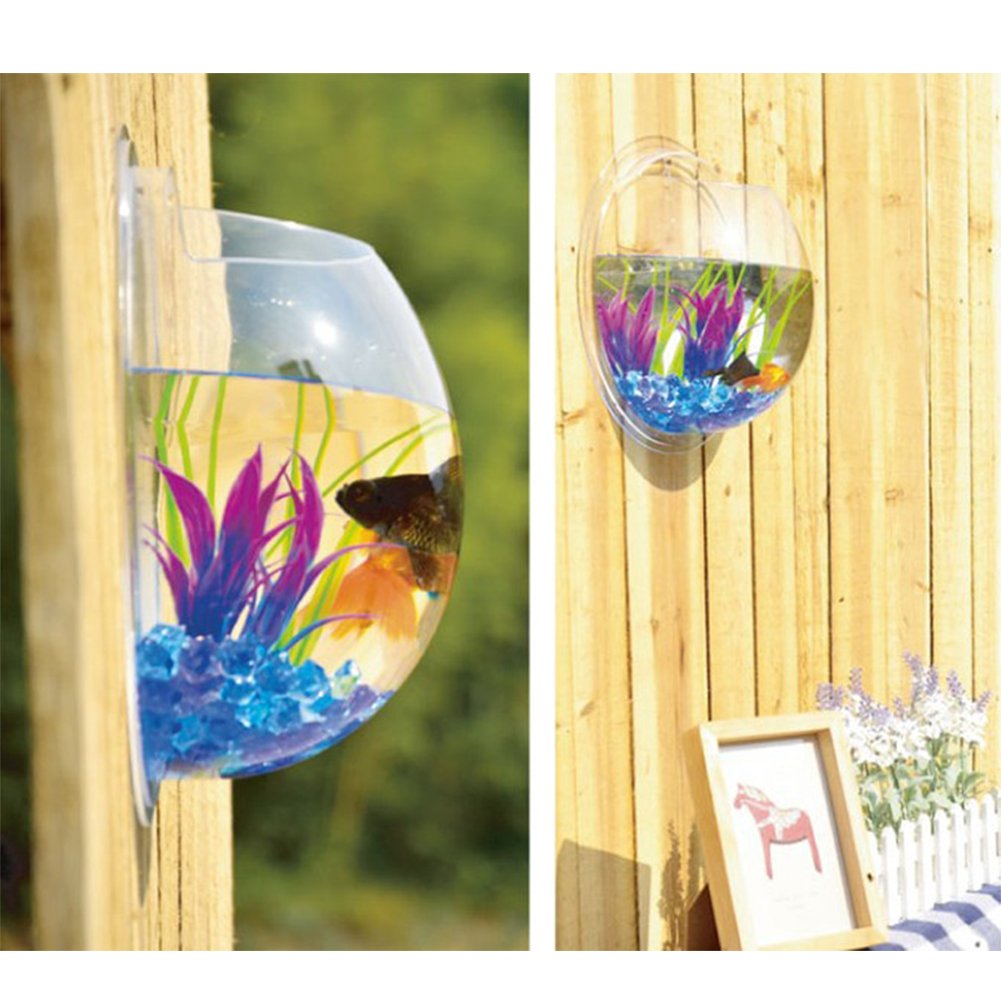 1 Gallon Hanging Wall Mounted Fish Tank Bowl - Clear Large Aquarium for Plants & Fish with Bubble Feature | Perfect for Home, Office & Wall Decor