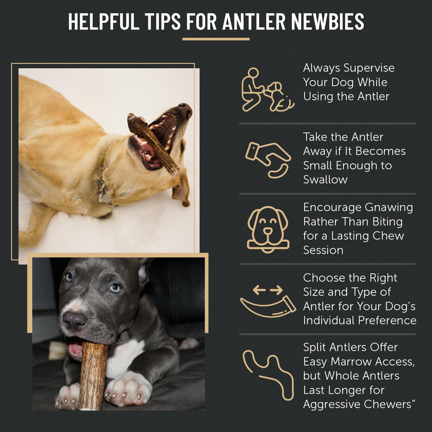 Premium Elk Antler Dog Chews for Large Dogs - Natural, Long-Lasting Chew Toy (1 Pound Box, 3-Piece Mixed Whole/Split Antlers) - Supports Dental Health & Reduces Anxiety - Perfect for Aggressive Chewers, Training Rewards, and Outdoor Adventures