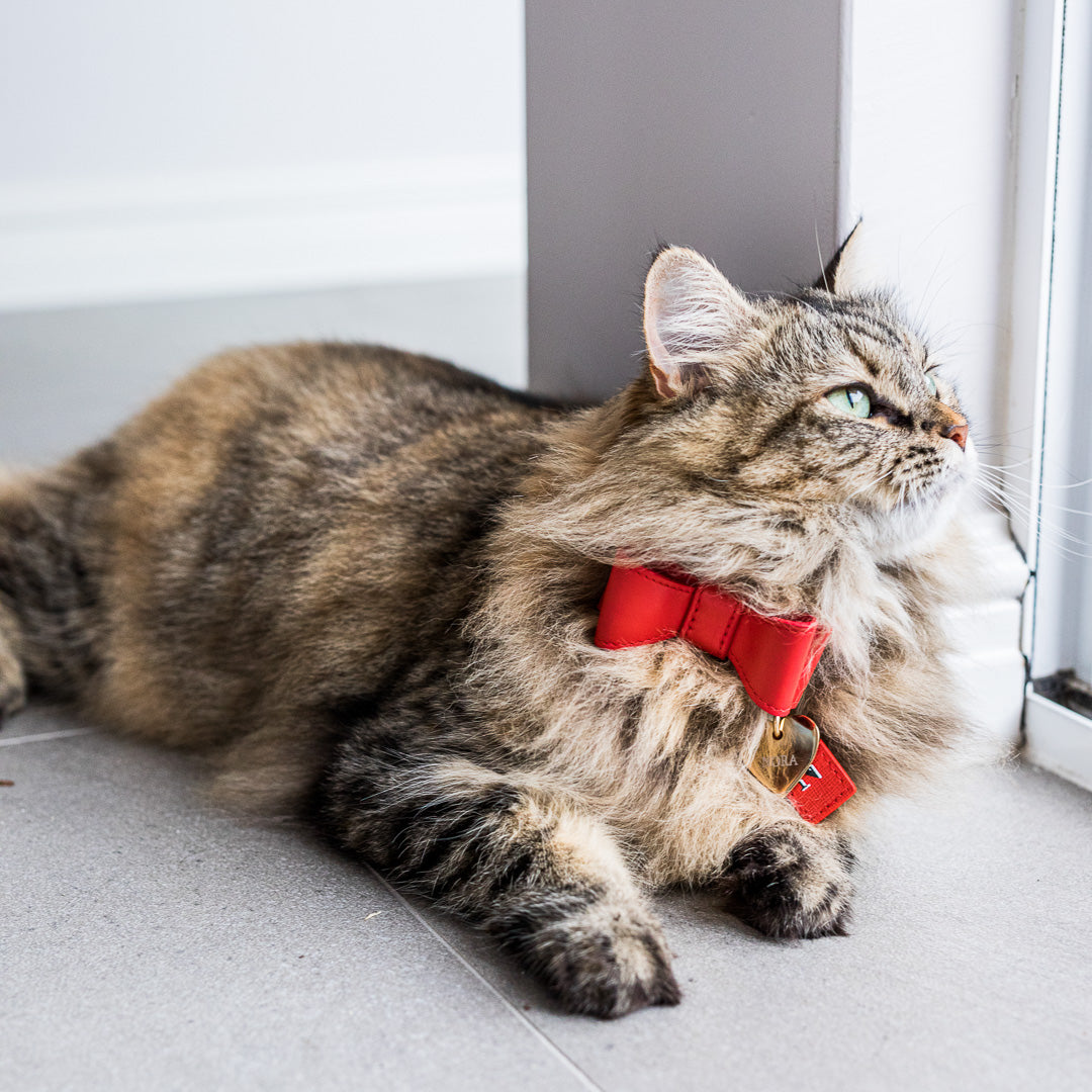 Stylish Red Leather Cat Bow Tie - Adjustable & Comfortable Pet Accessory for Special Occasions & Photos