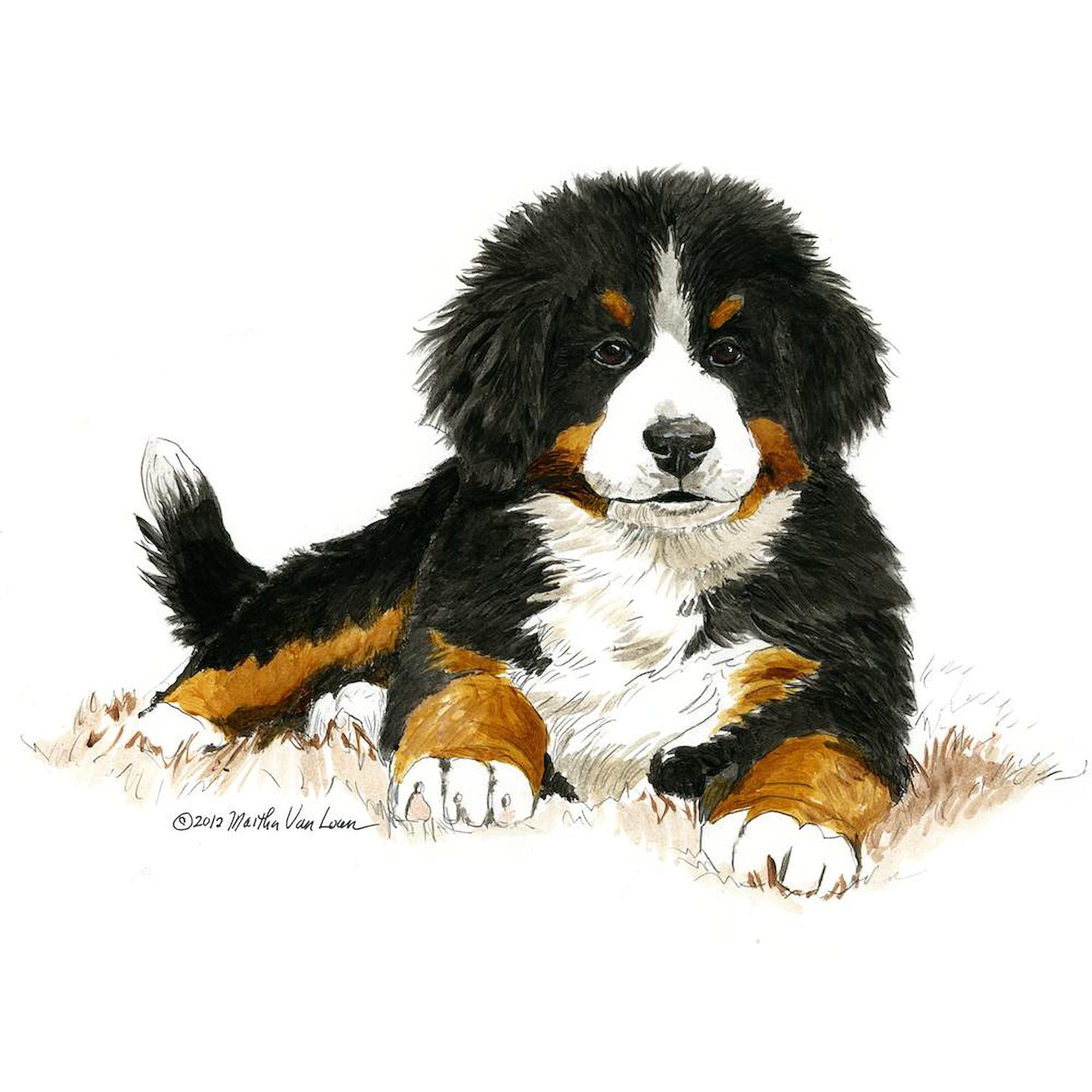 Bernese Mountain Dog Travel Mug 20 oz - Insulated Stainless Steel Coffee Tumbler with Bright Eyes Design - Perfect for Hot & Cold Drinks at Home, Office or Outdoor Adventures