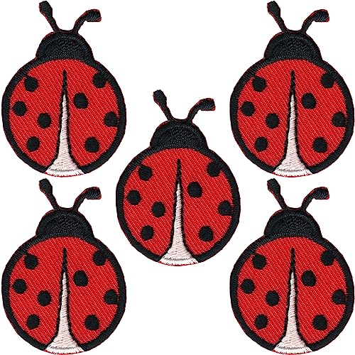 Ladybugs