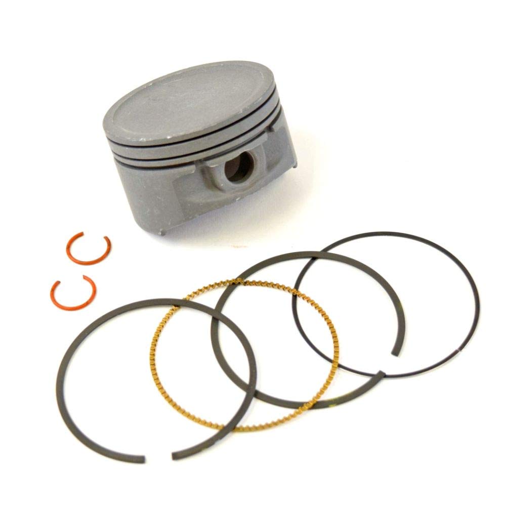 Briggs & Stratton 791786 Genuine OEM Standard Piston Kit for Lawn Mower & Garden Equipment Engines - Perfect for Engine Repair & Maintenance