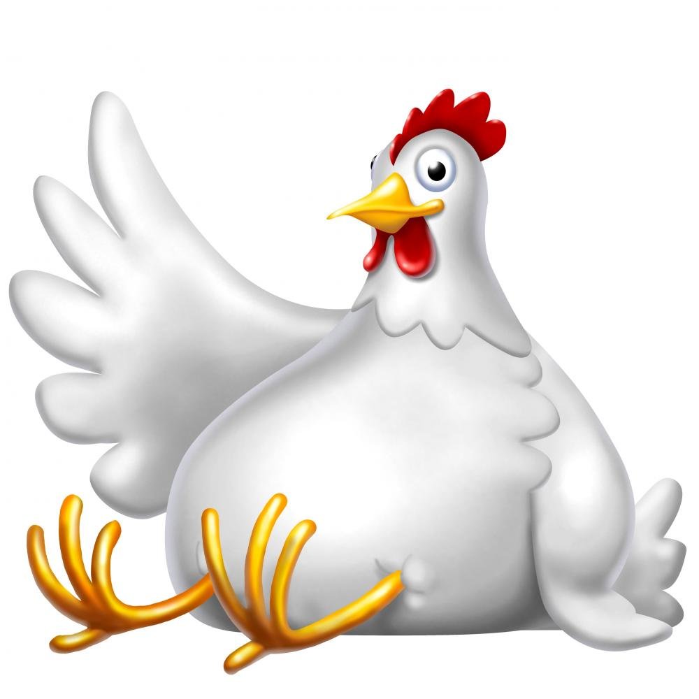 Wallmonkeys Peel and Stick Chicken Wall Decal - 18x18 Inches - Removable Graphic Art for Kitchen, Nursery & Farmhouse Decor (WM99308)