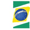 Brazilian Flag