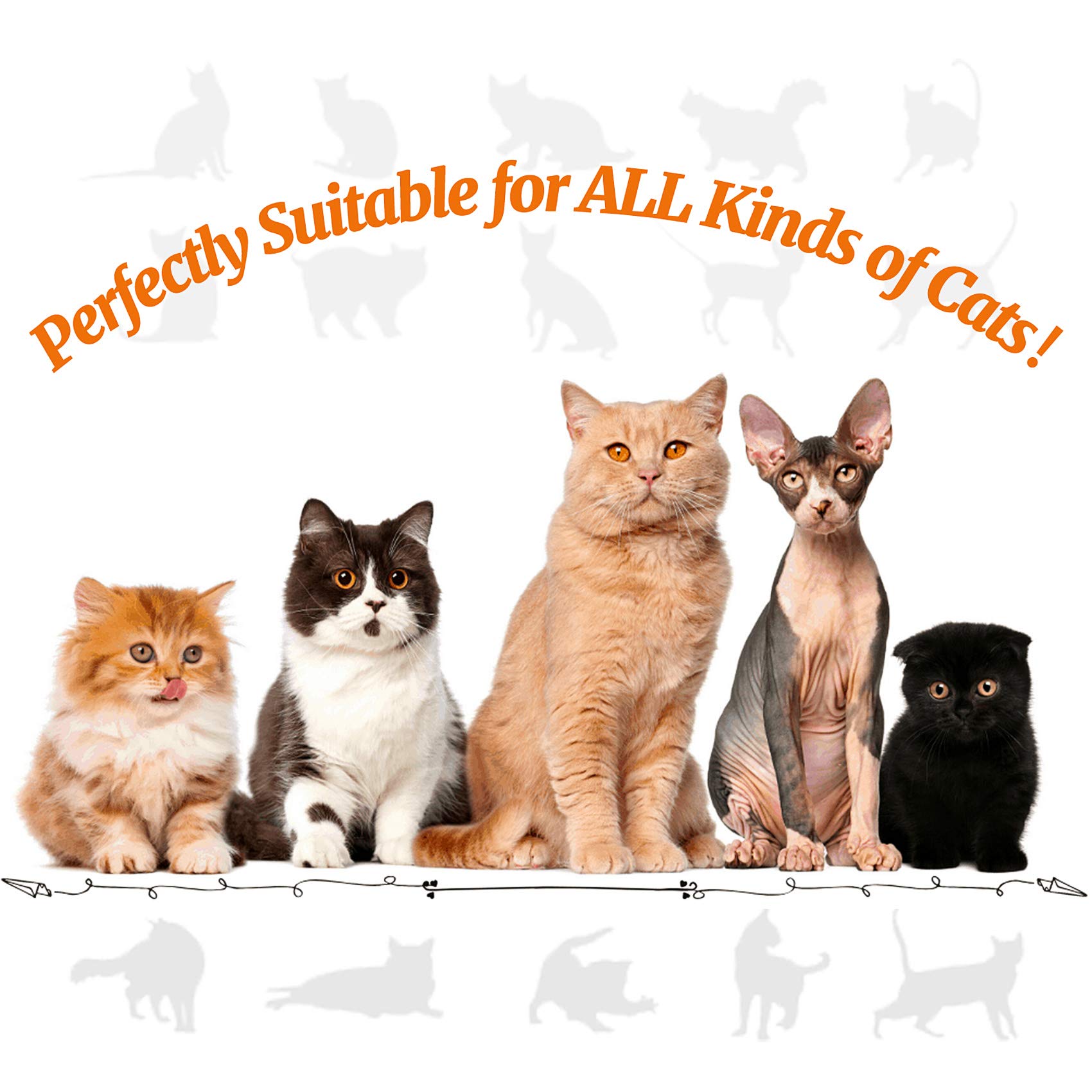 21-Piece Interactive Cat Toys Set for Indoor Kittens - Includes 3-Hole Tunnel, Teaser Wand, Feather Balls & Mice - Perfect for Playtime, Exercise & Bonding with Your Feline Friend