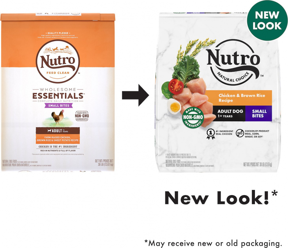 Nutro Wholesome Essentials Small Bites Dry Dog Food - Chicken, Brown Rice & Sweet Potato Recipe for Small Breed Dogs | Perfect for Indoor & Outdoor Feeding