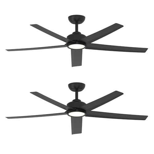Black-2Pack