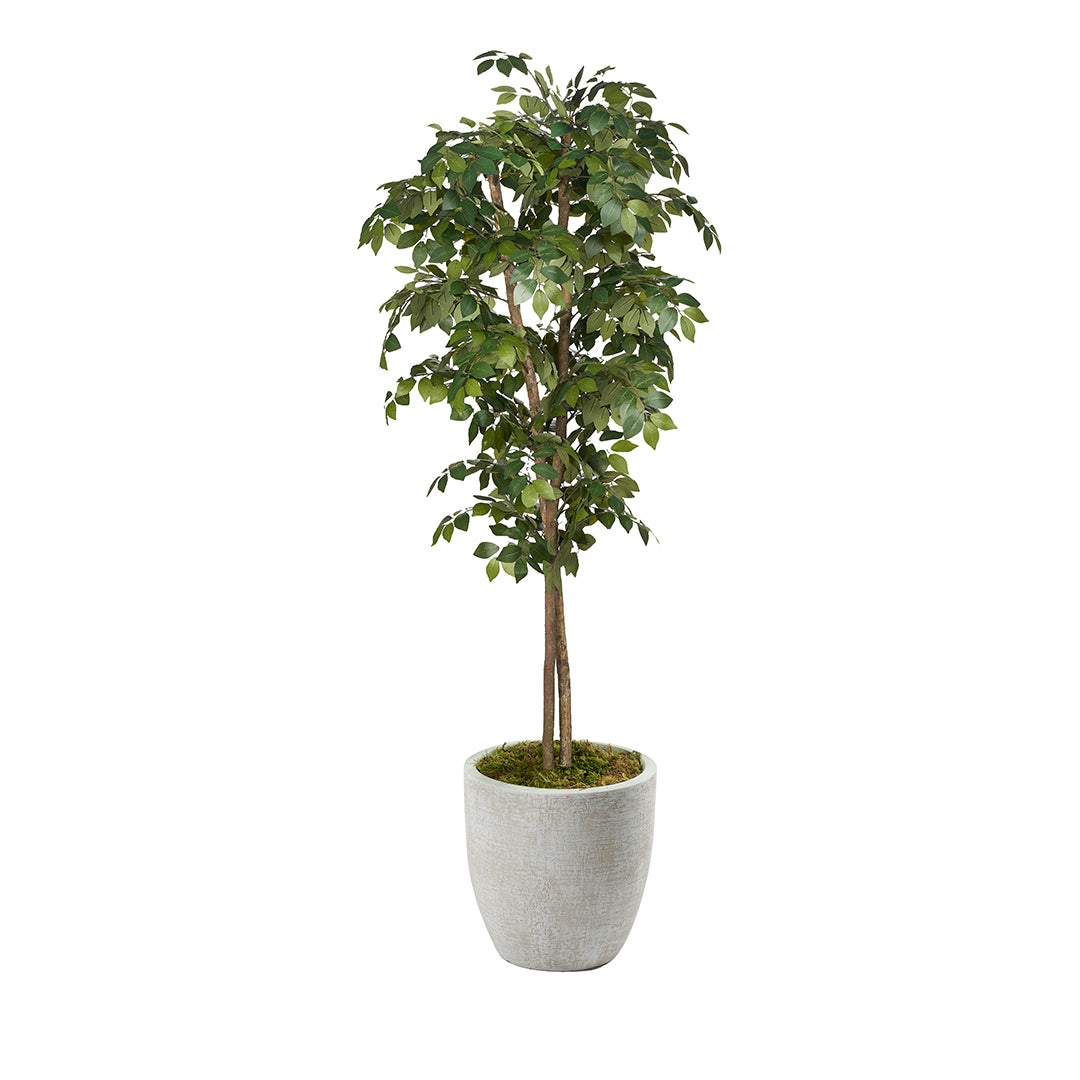 7ft Artificial Black Olive Tree - Realistic Fake Olive Tree for Home & Office Decor - Perfect for Living Room, Bedroom, or Indoor Greenery