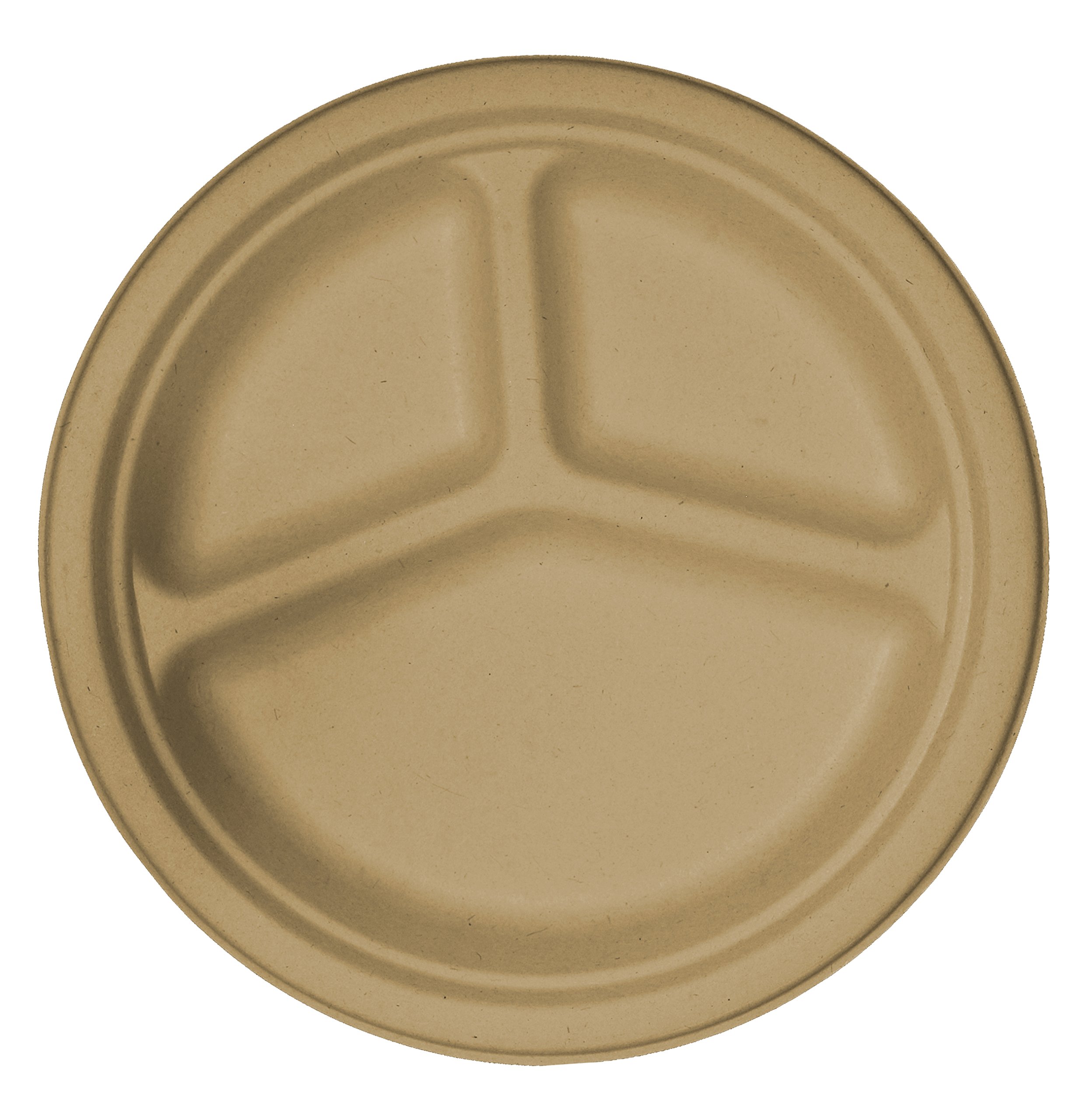 World Centric PL-SC-U10T 100% Compostable Unbleached Plant Fiber 3-Compartment Plates, 10 Inch (Pack of 700) - Eco-Friendly Disposable Dinnerware for Parties, Picnics & Events