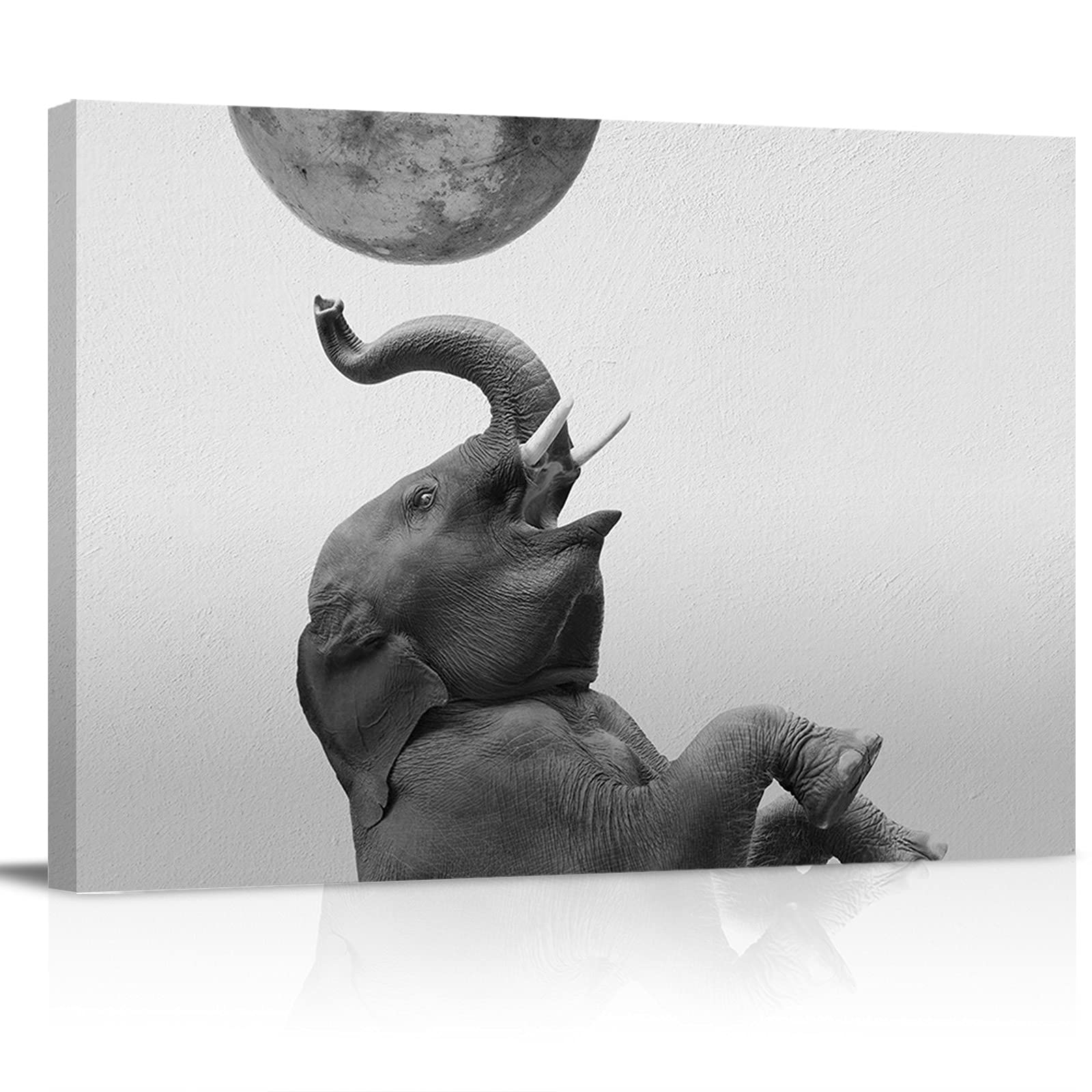 Canvas Wall Art Print - Modern Bathroom Wall Decor for Home & Office - Perfect for Living Room, Bedroom, and Bathroom Decoration