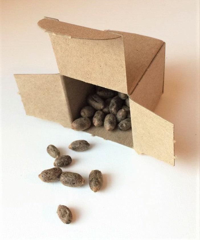 Organic Orchard Mason Bee Cocoons for Pollination - Live Bee Cocoons Ready to Hatch - Perfect for Garden, Orchard & Backyard Pollinators - Supports Sustainable Agriculture & Biodiversity