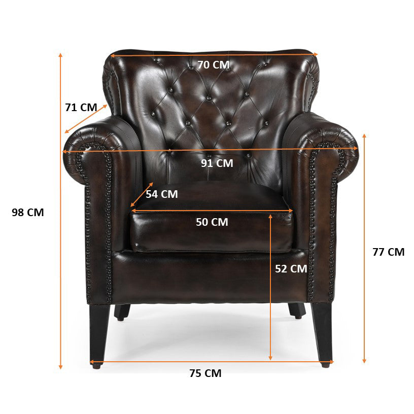 Premium Carson Leather Armchair - Modern Accent Chair for Living Room, Office & Lounge - Comfortable Relaxing Recliner with Soft Cushions & Sturdy Frame