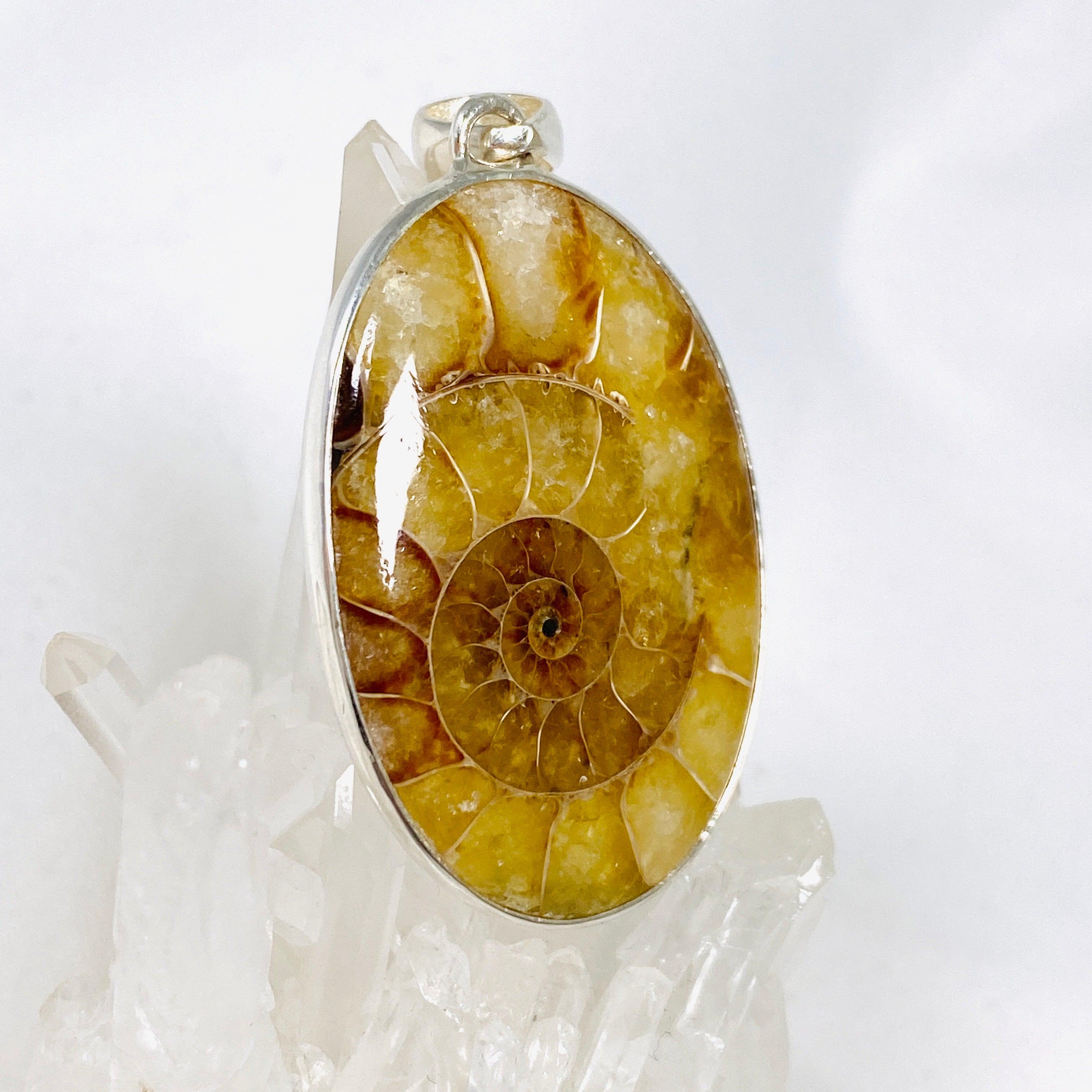 Natural Ammonite Fossil Oval Pendant Necklace KPGJ3460 - Elegant Jewelry for Women, Gift for Her, Perfect for Parties & Special Occasions