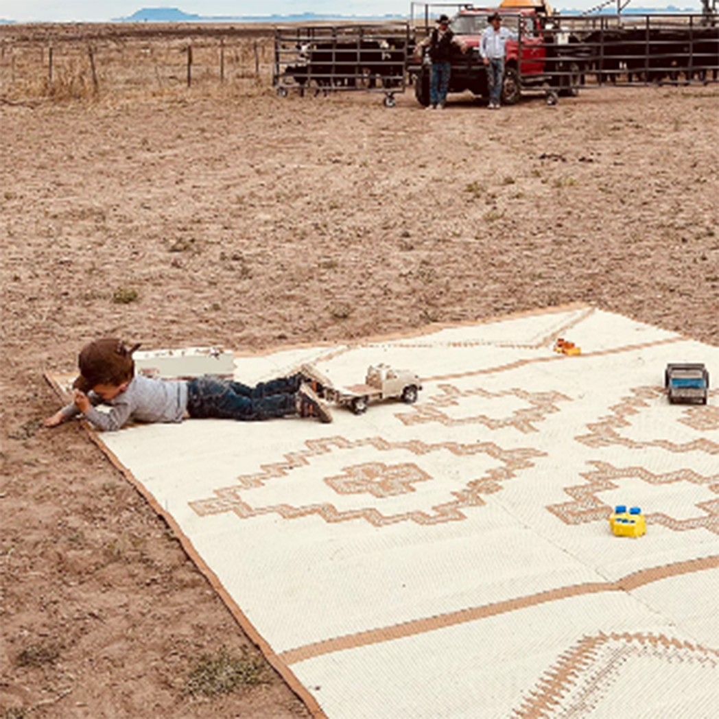 Premium Alpine Ranch Rug - Soft Tan 9x12 Feet - Perfect for Living Room, Bedroom & Cabin Decor - Cozy & Durable Area Rug