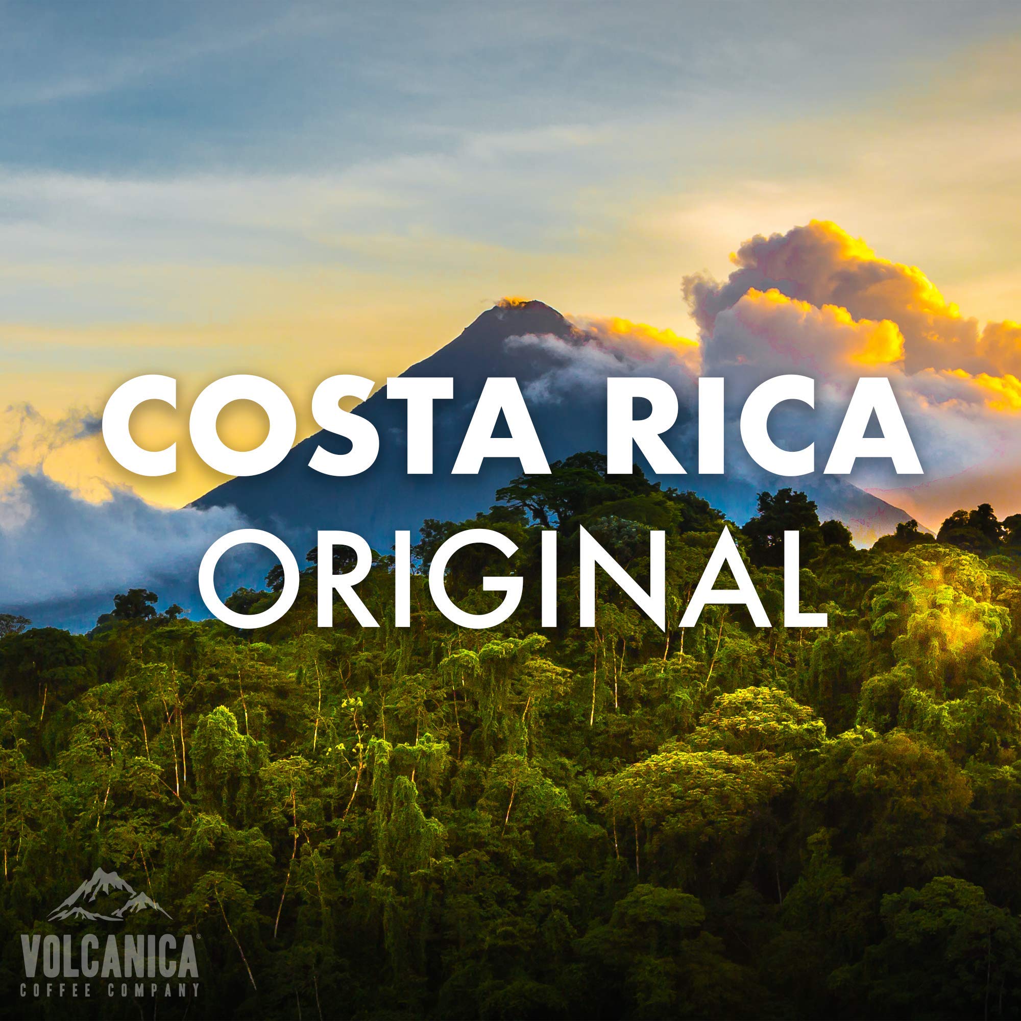 Premium Costa Rica Tarrazu Whole Bean Coffee - Medium Roast, Fair Trade Certified, Fresh Roasted, 5 lb Bag - Perfect for Home Brewing & Office Use