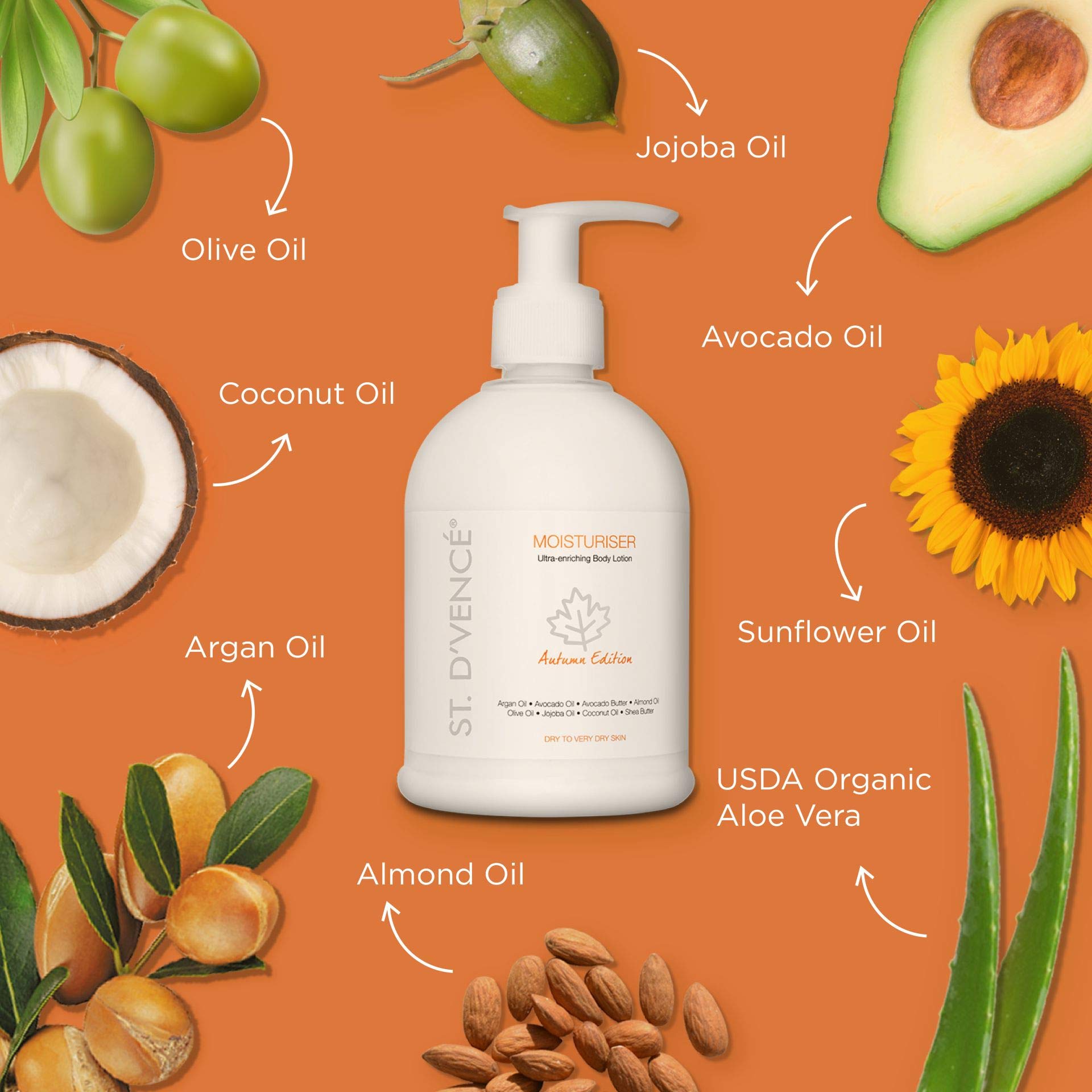 ST. D'VENCE Bordelais Autumn Moisturizer Body Lotion for Dry Skin - Deep Hydration with Argan, Olive & Jojoba Oil - 300ml - Ideal for Winter Care & Daily Use on Hands, Face & Body
