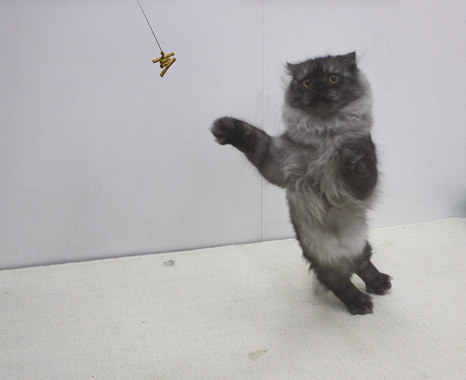 Cat Dancer 101 Interactive Cat Toy 3-Pack for Play & Exercise