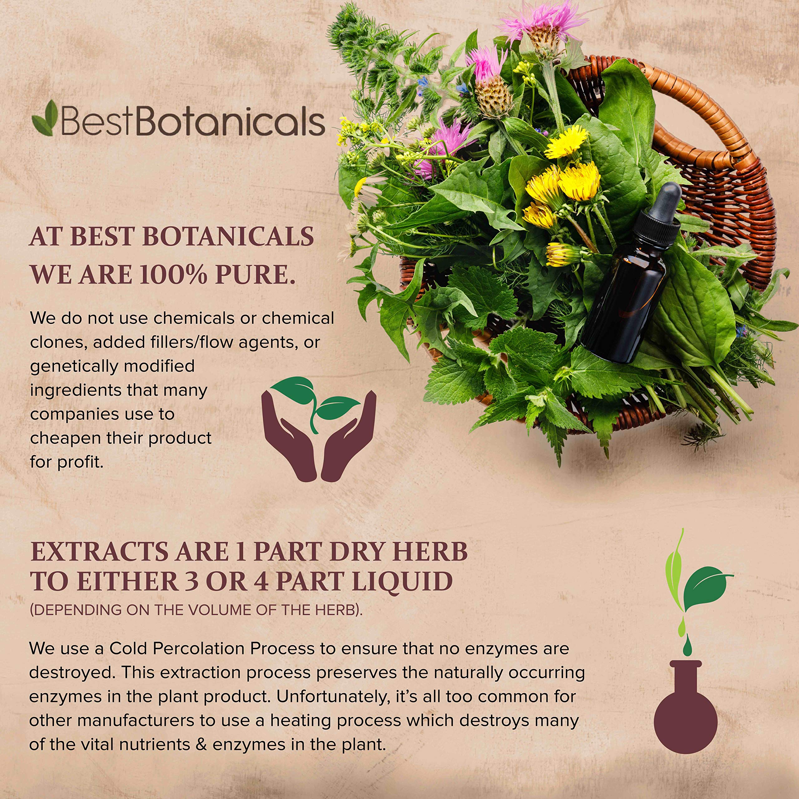Organic Milk Thistle Seed Powder 16oz - Best Botanicals Supplement for Liver Detox & Digestive Health - Perfect for Smoothies, Teas & Wellness Recipes