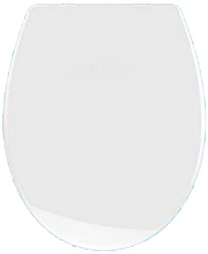Haieshop Universal Soft Close Toilet Seat Cover - Padded, Quiet & Slow Closing Bidet Toilet Seat for O/U/V-Shaped Toilets (448x371mm) | Perfect for Bathroom Upgrade & Comfort
