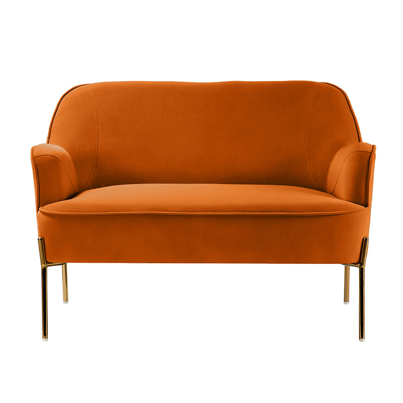 Stylish Africa Contemporary Velvet Loveseat Sofa - Modern Velvet Upholstered 2-Seater Couch for Living Room, Lounge & Home Decor