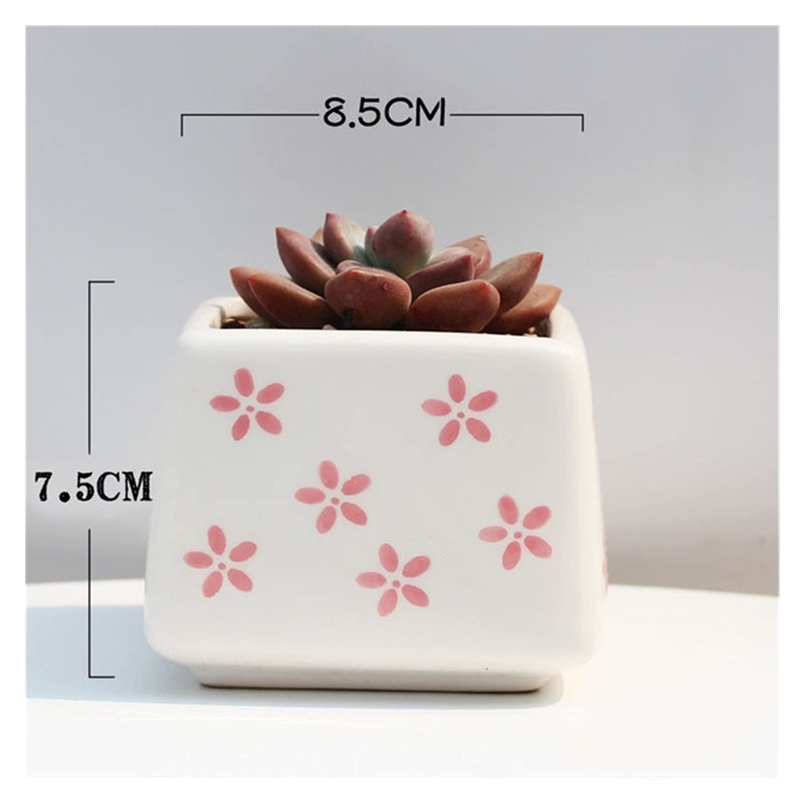Hand-Painted Ceramic Flower Pots - Set of 8 Cute Succulent Planters with Glaze Finish for Home, Garden & Indoor Decor | Perfect for Windowsills, Office Desks & Gift Giving