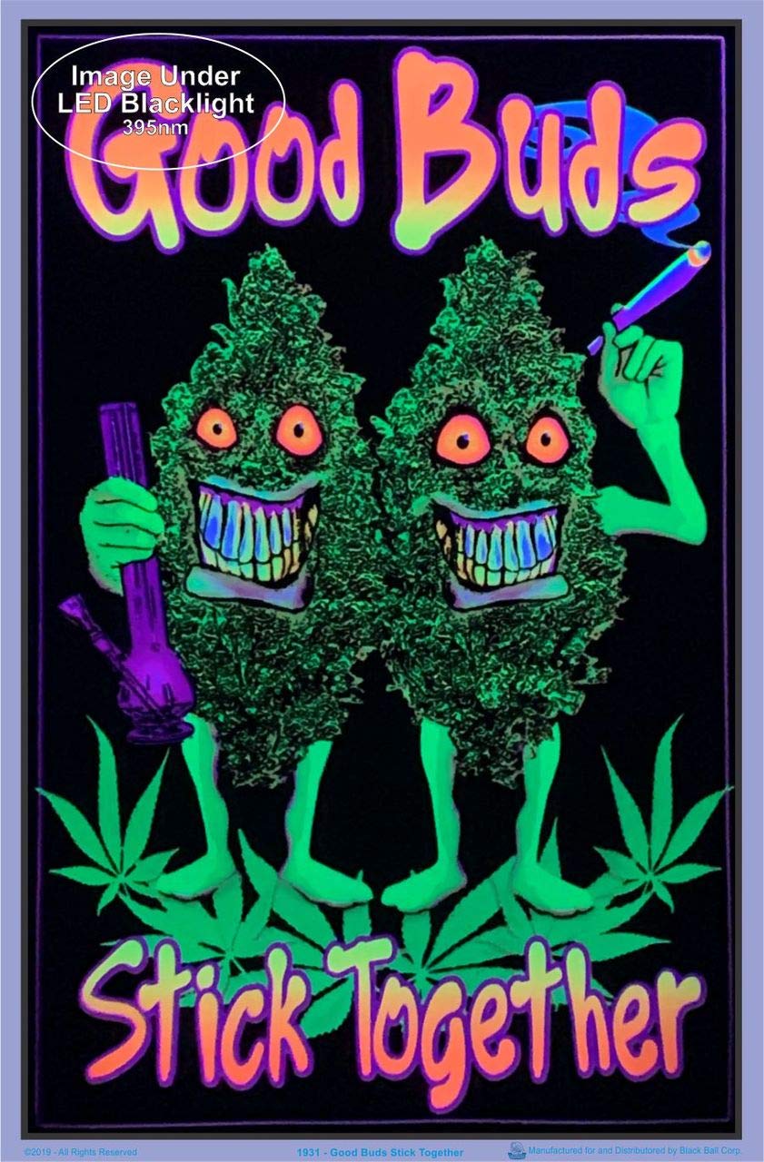 Premium Laminated Blacklight Poster - 23.5
