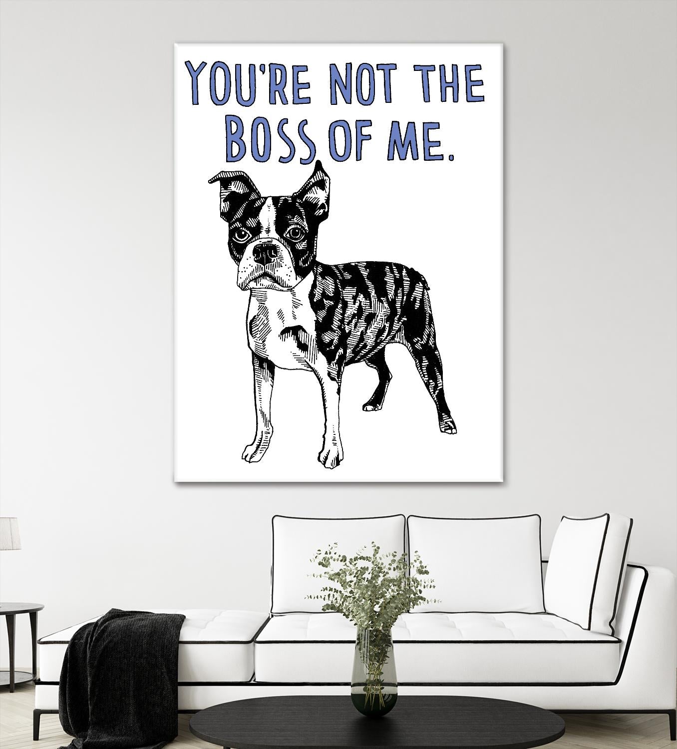 Boston Terrier Dog - Adorable Pet Companion for Families & Apartment Living | Best Small Breed for Home & Travel