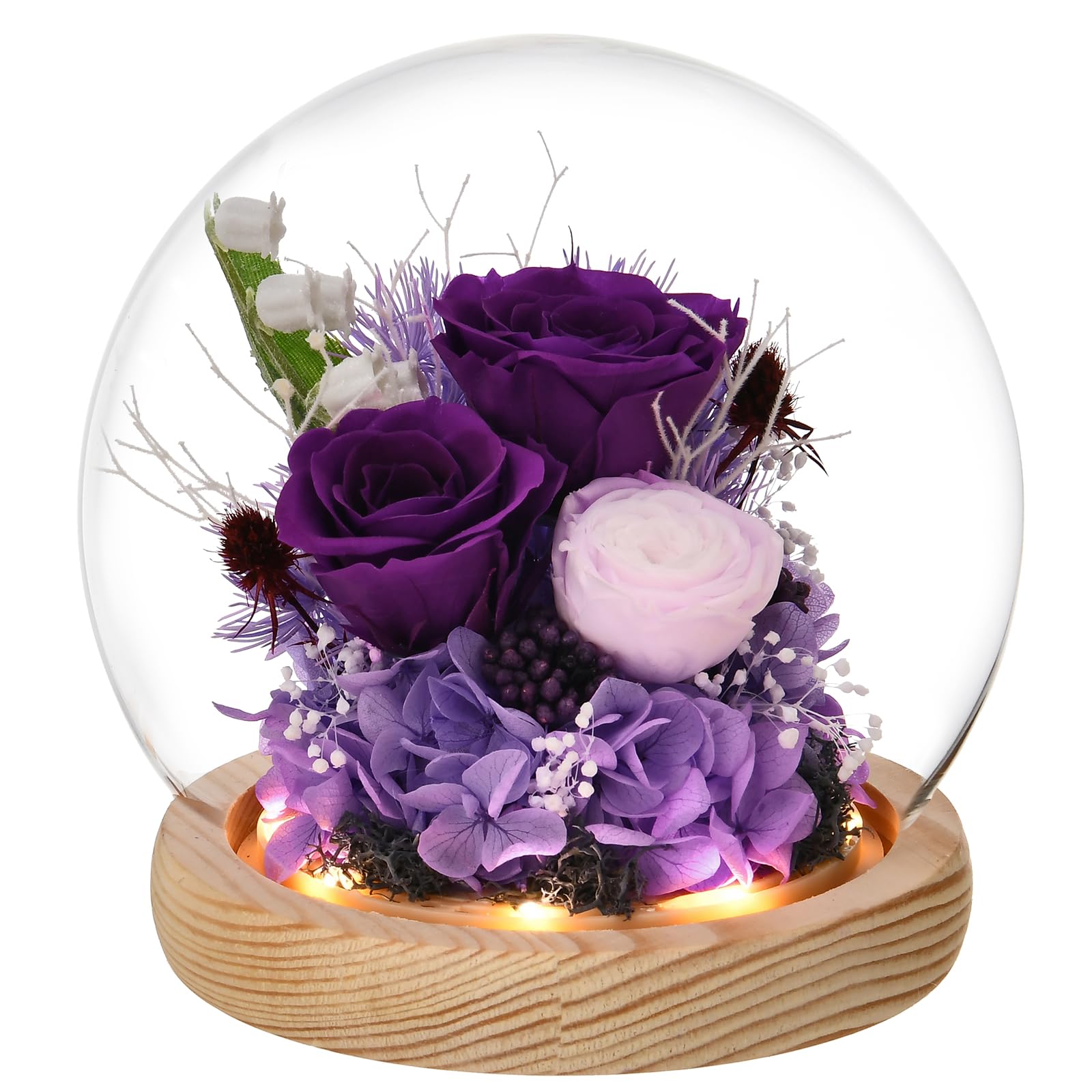 LED Rose in Glass Dome - Elegant Floral Gift for Women, Mom, Wife, Best Friend & Grandma | Birthday, Anniversary, Valentine's Day Present with Prime Delivery