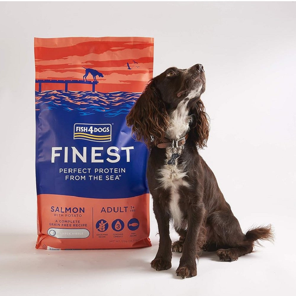 Premium Adult Salmon Dry Dog Food - High Protein Grain-Free Recipe for Healthy Skin & Coat - Ideal for Active Dogs & Sensitive Stomachs
