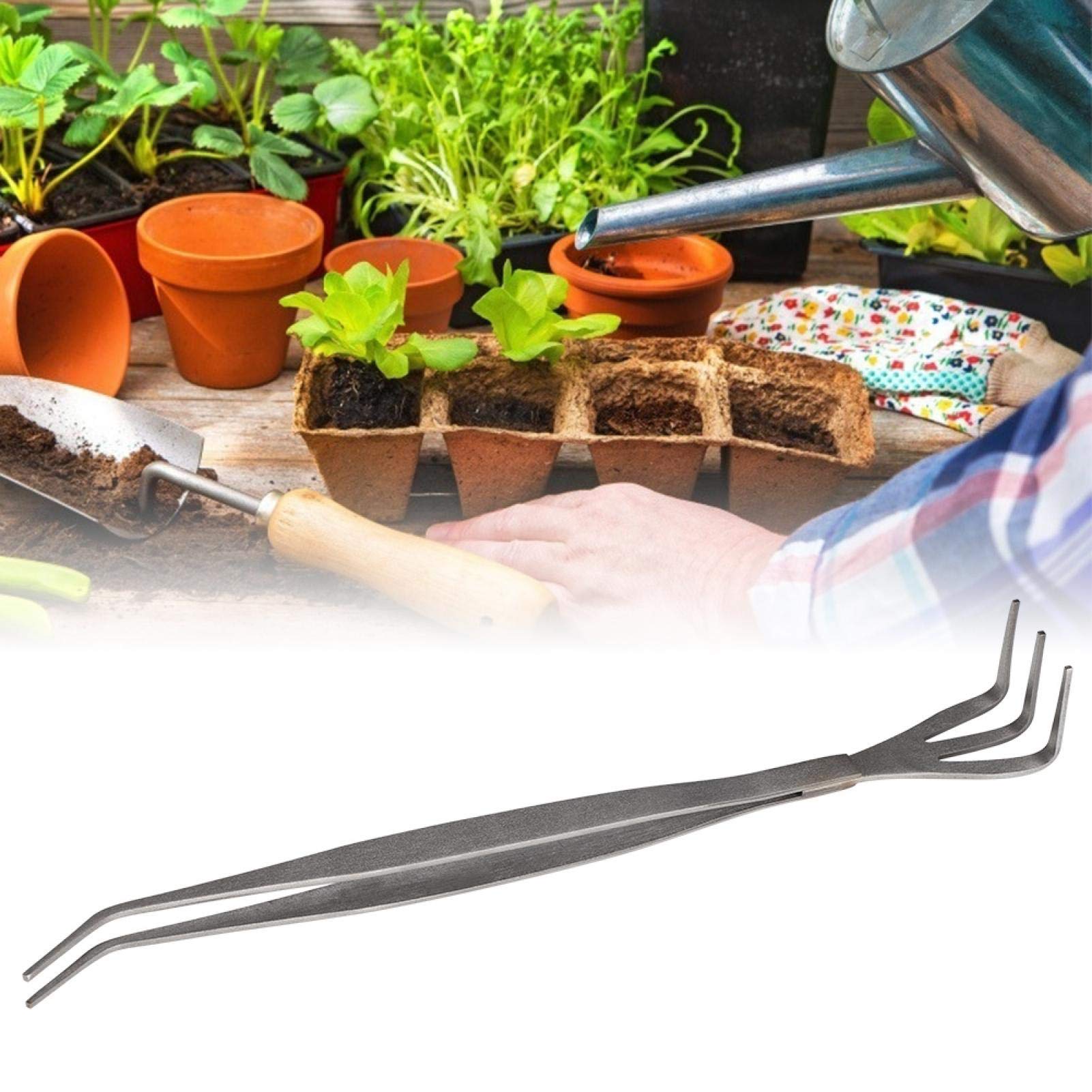 2-in-1 Rustproof Bonsai Gardening Tools Set - Ergonomic Pruning Shears & Rake for Beginners - Perfect for Home Garden, Indoor Plants & Bonsai Tree Care