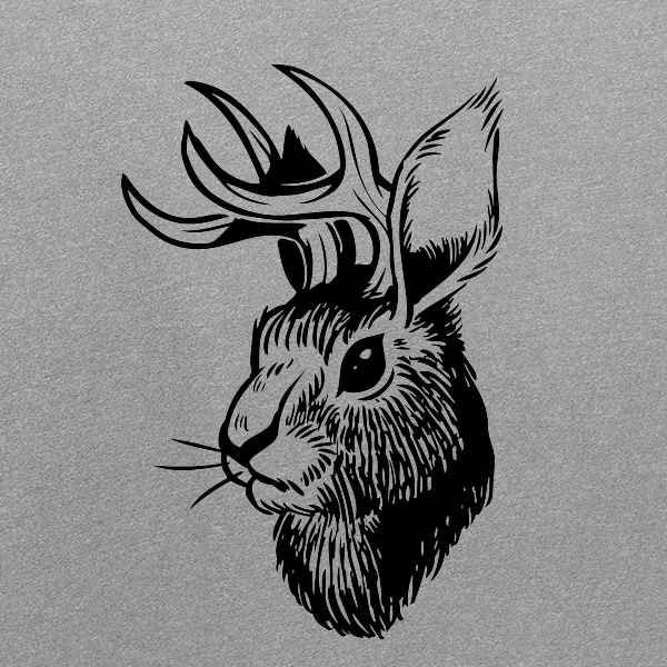 Funny Jackalope Head Western T-Shirt for Kids & Youth - Boys & Girls Graphic Tee for Casual Wear, School & Outdoor Activities