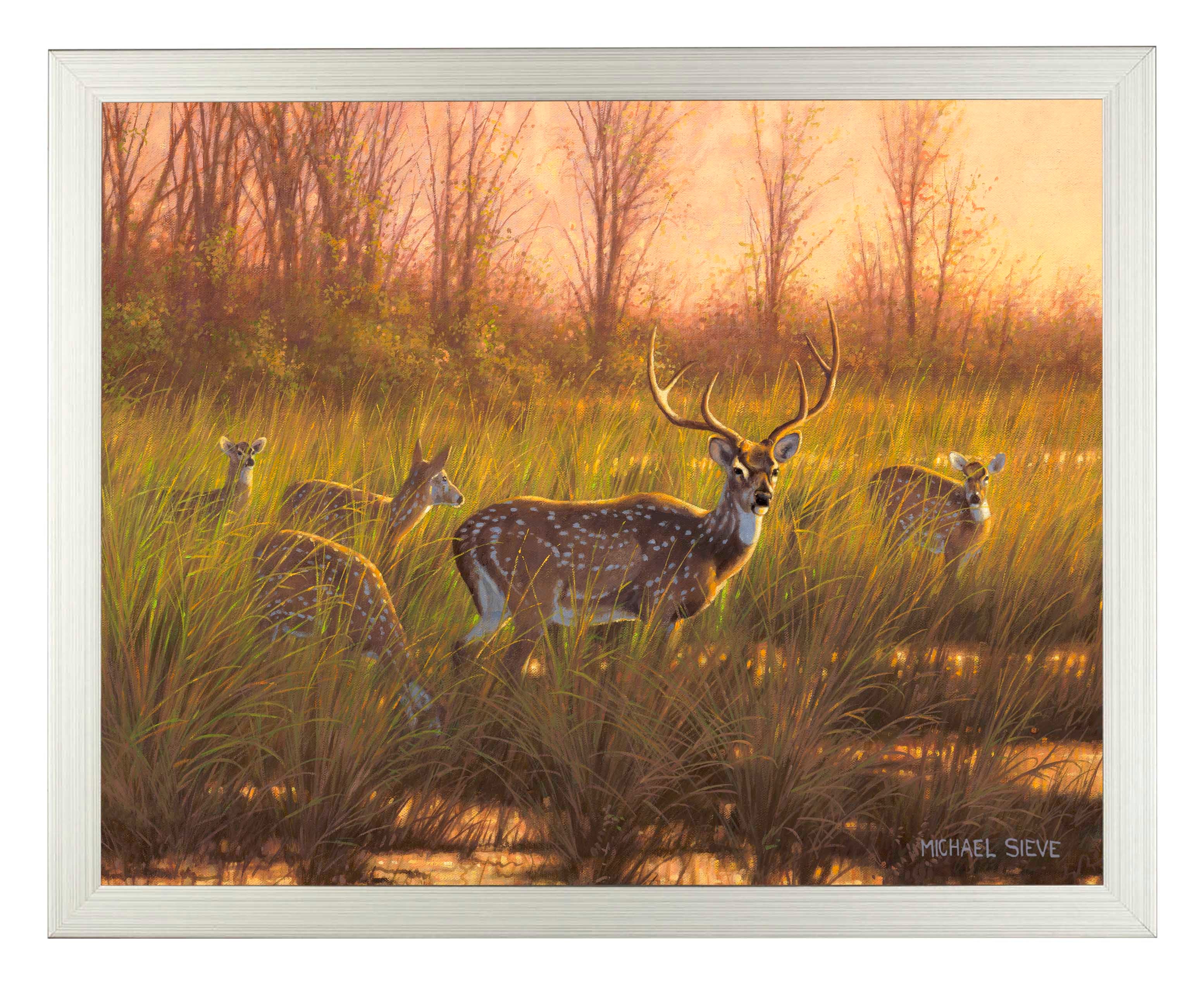 Chital Deer Art Prints - Stunning Wildlife Wall Decor for Home, Office & Gifts | High-Quality Fine Art Prints