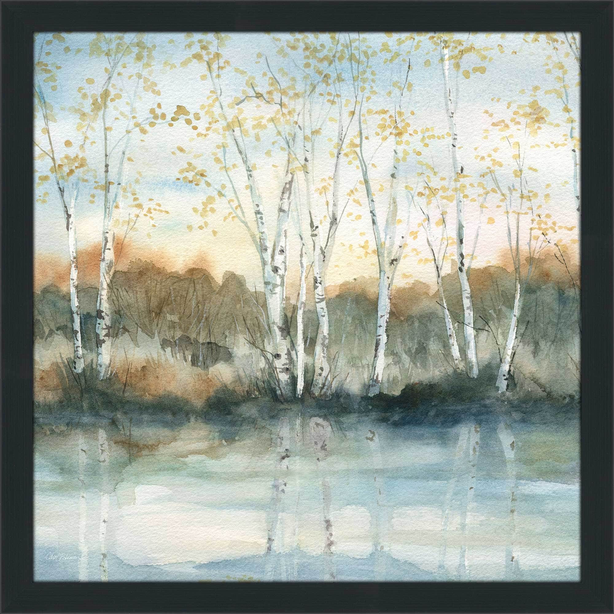 Birch Riverbank by Carol Robinson - Stunning Acrylic Wall Art Print for Living Room, Bedroom & Office Decor