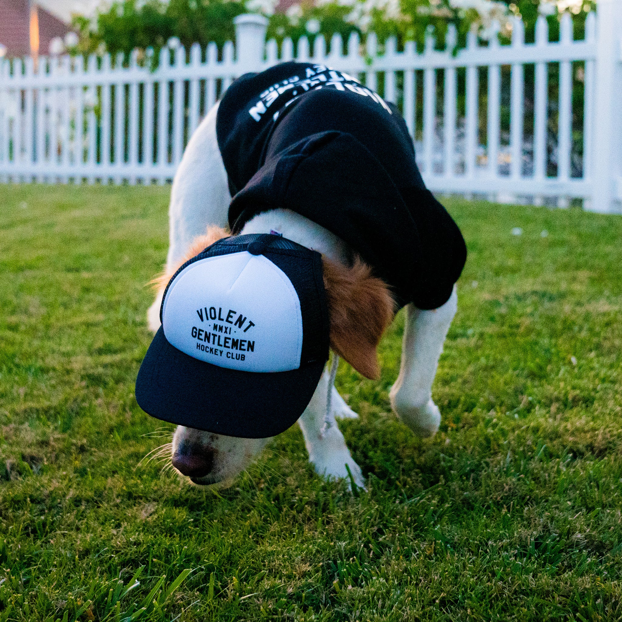 Loyalty Dog Pullover Hoodie - Cute Pet Hooded Sweatshirt for Dogs - Soft & Comfortable Dog Clothes for Small Medium Large Breeds - Perfect for Winter Walks, Outdoor Adventures & Photo Shoots