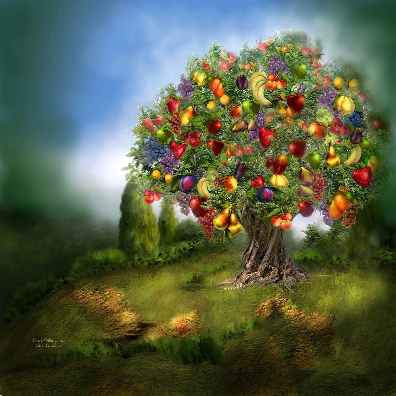 Cavalaris Tree of Abundance Wall Decal 36x36 Inches - Large Removable Vinyl Sticker for Home, Office & Nursery Decor