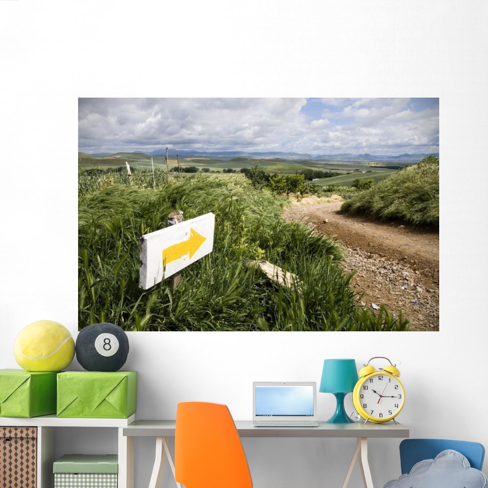 Wallmonkeys Camino Santiago Rioja Wall Mural - Peel and Stick Removable Graphic (72